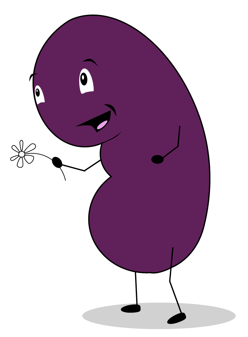 Kidney Kid
